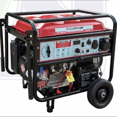 موتور برق ۱۰ کیلووات دوگانه سوز برند پاورریج مدل PA29500E2_LPG